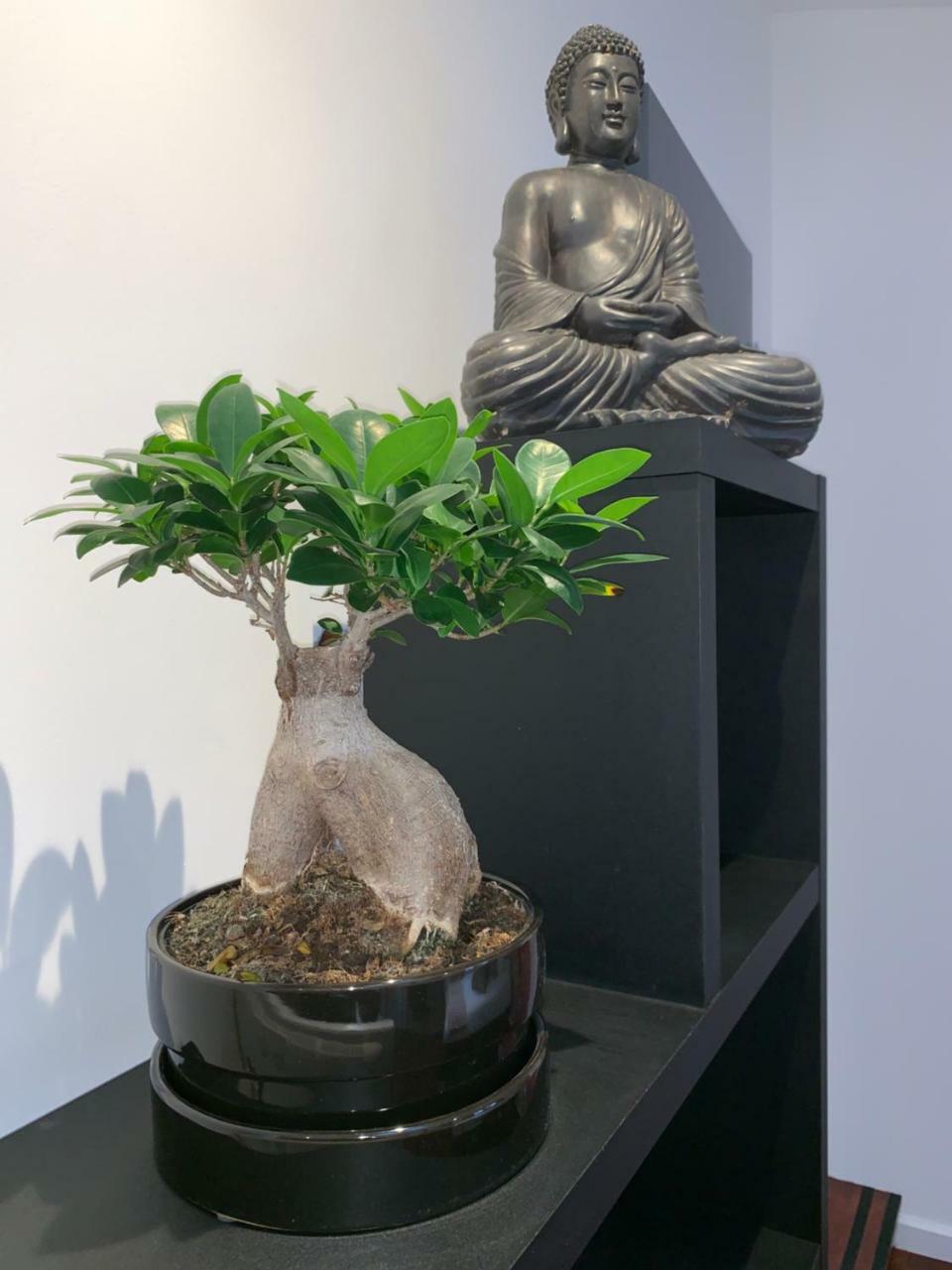 Maison La fleur de sel Anglet Eksteriør billede
