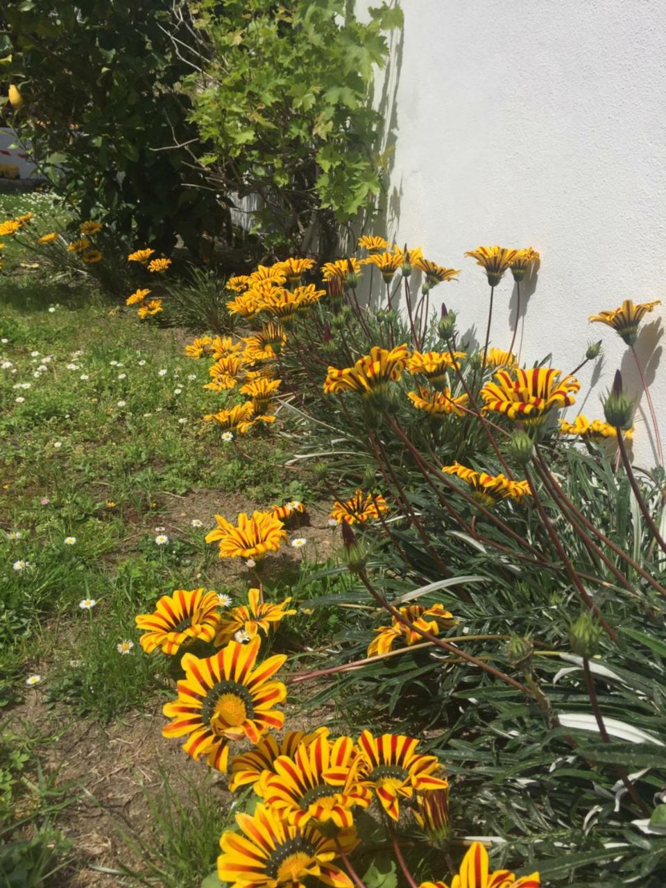 Maison La fleur de sel Anglet Eksteriør billede